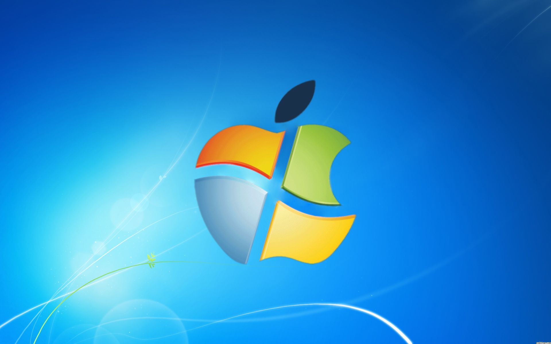 Apple confirms manufacturing windows-powered phone