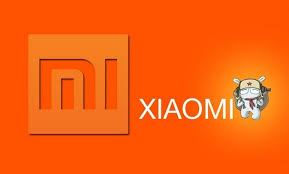 Xiaomi Likely to enter African market this September