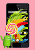 Noir i8, QMobile First Lollipop phone.