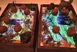 Restaurant in San Francisco is using iPad as Plates.