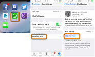 How to Backup WhatsApp messages in iPhone.