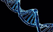 215 Beta Bytes Data can be Saved in 1 Gram DNA