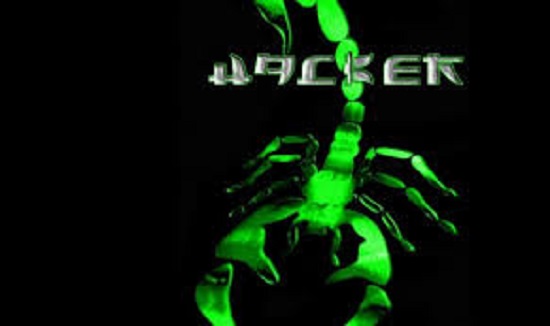Hacker Deleted Unethical Websites
