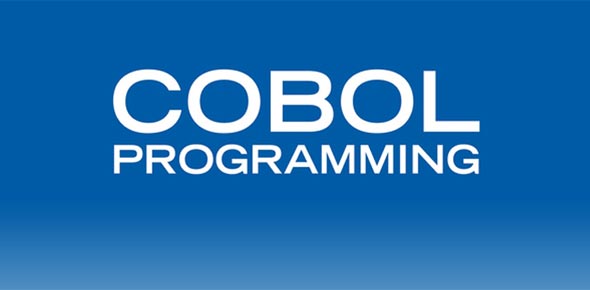 Opportunities for COBOL Experts