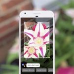 Google Lens is now available through Google Photos in all iOS and Android devices